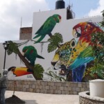 San Miguel de Allende