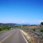 überall Agavenfelder