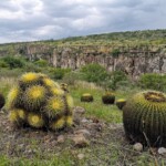 Botanischer Garten bei SMA