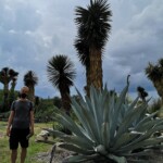 Botanischer Garten bei SMA