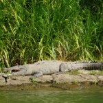 Cañón del Sumidero