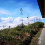 Schnee... äh... Salzberge