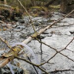 Wassertank füllen mit Tauchpumpe