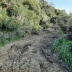 Strasse zum Übernachtungsplatz