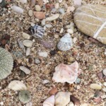 Strand beim Apollo Beach Club