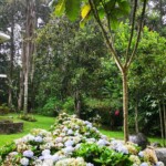 Im Airbnb in La Pitaya bei Regen